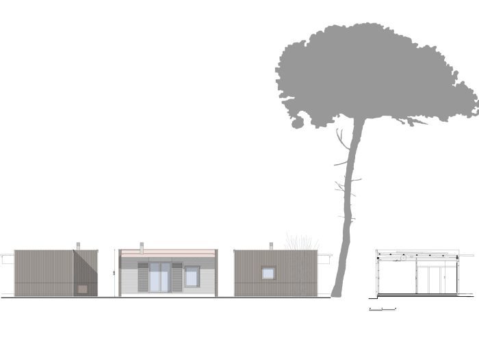 3 Model Maria alçat